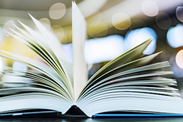 Glossary of Terms